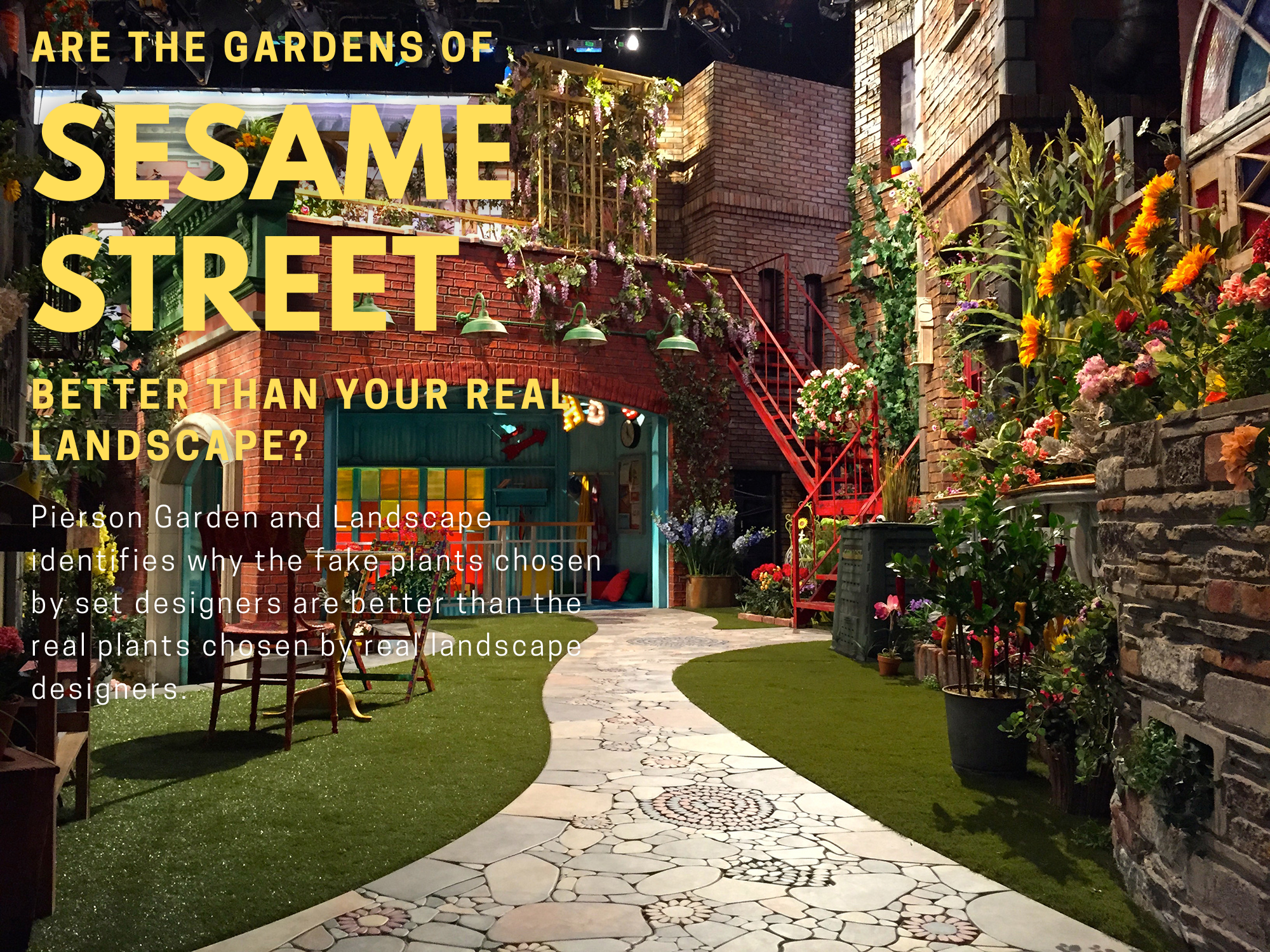 Pierson Garden and Landscape identifies why the fake plants of Sesame Street are better than your real landscape plants